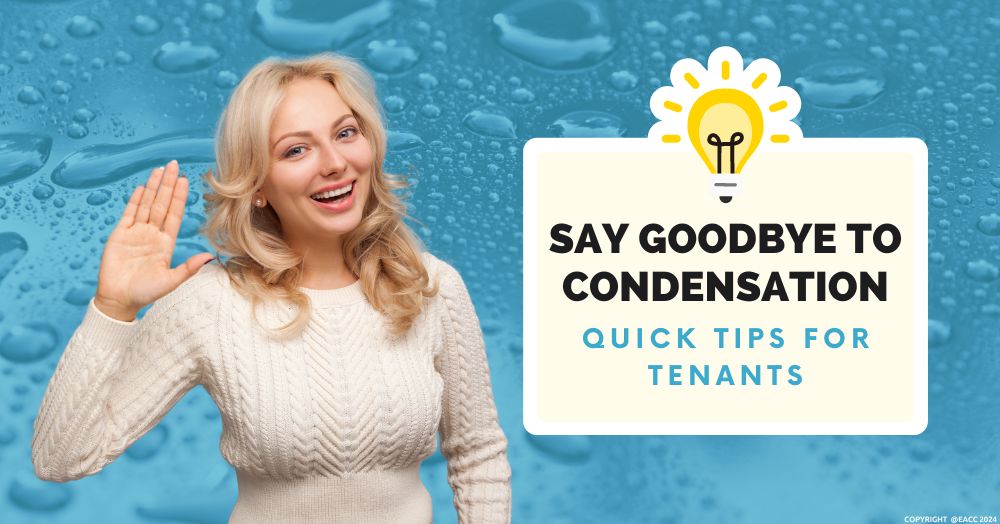 Say Goodbye to Condensation: Quick Tips for Tenants